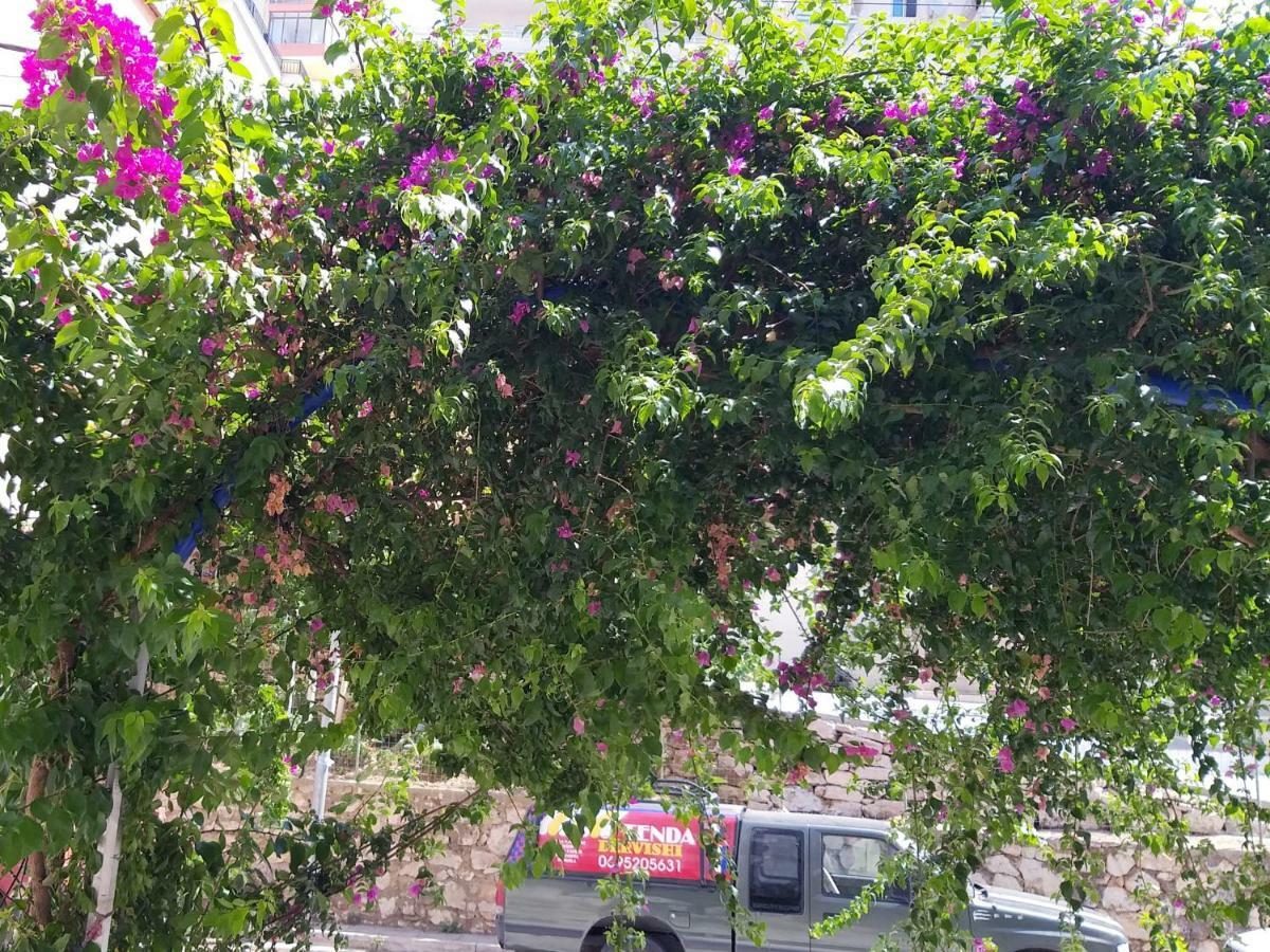 Iraa'S Apartment Sarande Exterior photo